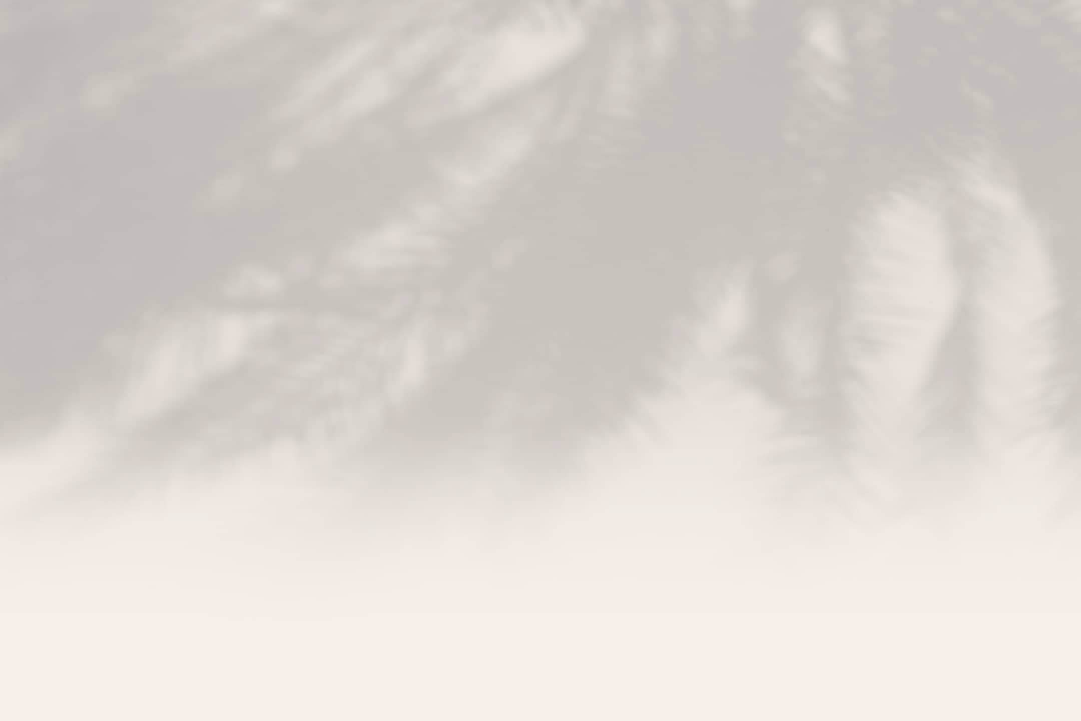 Plant background